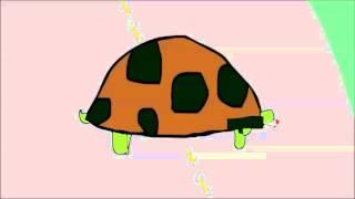 Turtle Vs. Car [The Flash Animation]