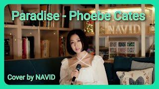 ️ 【Paradise  - Phoebe Cates】 ┃ Cover by NAVID