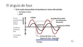 Bioimpedancia electrica