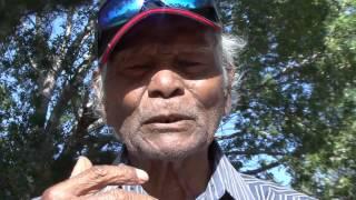 The Tiwi Story