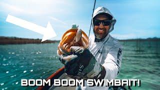 Why This Small Swimbait Should Be On Your Radar!! Field Testing the Optimum Baits Boom Boom Swimbait