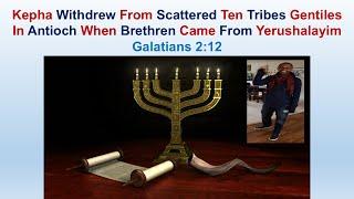 Kepha Withdrew From Scattered Ten Tribes In Antioch When Brethren Came From Yerushalayim - Gal 2:12