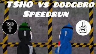 Big Scary But speed running against  Dodgbro|TSHO vs Dodgbro