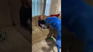Funny dogs#dogs#dogs#dogslover #dogshorts #funnydogs#youtubeshorts #funnyvideo #music#Lucky Dog#GG