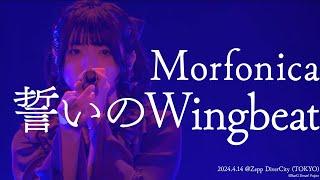 【公式ライブ映像】Morfonica「誓いのWingbeat」（Morfonica Concept LIVE「forte」より）