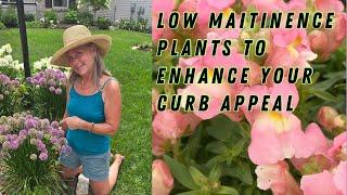 Low Maintenance Plants to Enhance your Curb Appeal