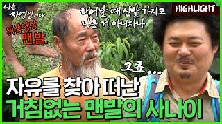 "난 대한민국의 X잡부였어" 물질적 풍요가 아닌 마음을 살찌우는 사나이의 산중생활｜자연인 하이라이트 150회