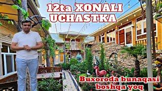 12TA XONASI BOR UCHASTKA SOTILADI. ️992650100 / BUXORO 14.08.2024