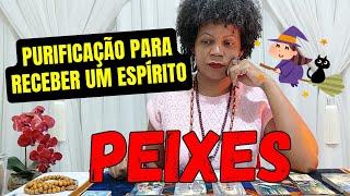 PEIXES É tanta NOVIDADE, vai pular de alegria. Uma RAPOSA tenta atrapalhar o seu sucesso.