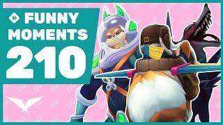 Who let the dogs out ? - Funny Moments #210 LCK 2024