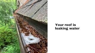 Expeditors Roofing and Solar -Signs it s time to call a roofer