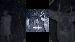 Real Wendigo Sounds Caught On Camera #wendigo #sound #caughtoncamera #camera #real #shorts