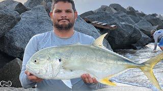 NON STOP FISHING ACTION AT HILLSBORO INLET | FALL MULLET RUN