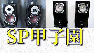 スピーカー比較13cm2way ＆ 12cmフルレンジスピーカー DALI ZENSOR1   ＆FF125WK Fostex Sound Demo Comparison Speaker