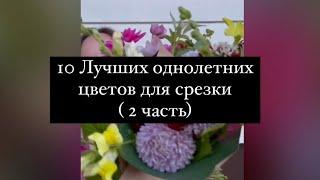 10 Лучших однолетних цветов для срезки ( 2 часть)