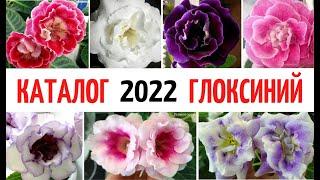  ГЛОКСИНИИ на 2022 год  ️ КАТАЛОГ моих СОРТОВ