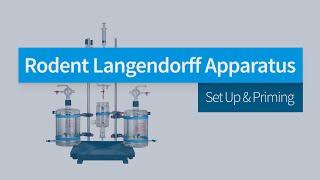 ADInstruments Rodent Langendorff - Set Up & Priming Demonstration