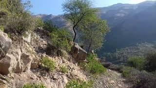 Village. Darwaza Haripur Hazara Pakistan.