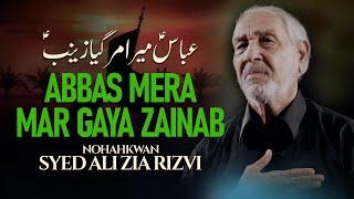 Syed Ali Zia Rizvi - Abbas Mera Mar Gaya | Muharram 1446AH/2024