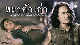 หมาตัวเก่า : พจน์ สุวรรณพันธ์ อาร์ สยาม [Official MV]