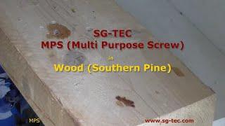 Setting of SG-TEC MPS Multi Purpose Screw in Wood