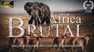 ÁFRICA SELVAGEM | Predadores Brutais e a Batalha pela Sobrevivência | Documentário Animais