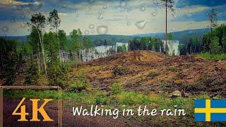 4k Walking in the Rain at a Lake in Sweden