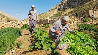 IRAN nomadic life | daily routine village life of Iran | Nomadic lifestyle of Iran