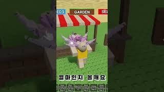 퍼플 달리아 리뷰!
