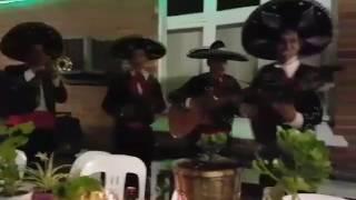 The greatest mariachi mexican band australia