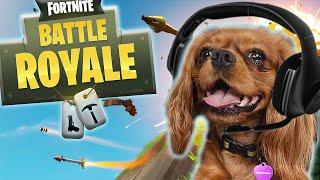 Dog Plays Fortnite! - Evie The Talking Dog