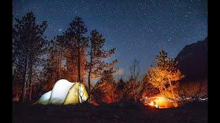 как я поехал в лес на ночевку мотоцыклом! насобирал грибов.overnight in the forest