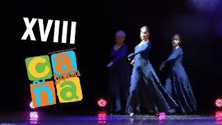 «Fiesta» - Студия «La Euforia», рук  Вячеслав Степанов