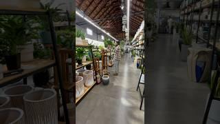 Indoor garden centre visit #plants #shortsvideo