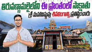 Arunagirinathar Temple | ఈ ఆలయం శివలింగం ఆకారంలో ఉంది అని ఆదిశంకరాచార్యులువారు ఆలయం లోపలికి రాలేదు