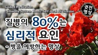 [15분명상] 질병의 80%는 심리적요인, 병을 예방하는 명상, 병치료명상