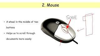 Input Devices | Computer Fundamentals