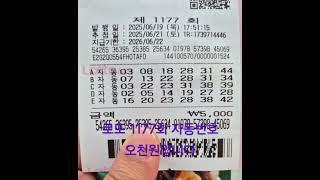 로또1177회 자동번호 #lottery #로또 #로또명당 #쌍용