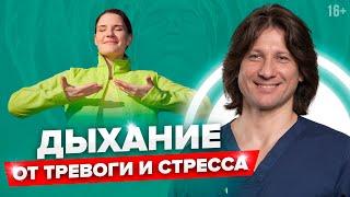 Как снять стресс за 4 минуты. Дыхательная практика.