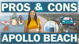 Living in Apollo Beach Florida Pros and Cons