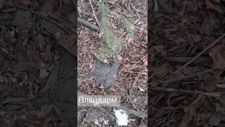 #пошукзагиблих #війна #україна #war #война #ukraine #плацдарм