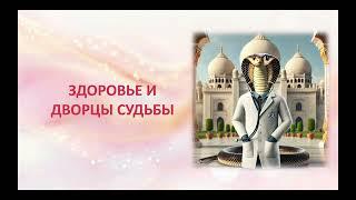 Деревянная Змея. Урок 1. Здоровье