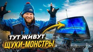 ТУТ ЖИВУТ ЩУКИ-МОНСТРЫ