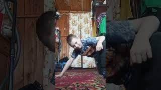 11 июня 2024 г.