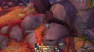 Paladin Class Hall Mount Dismounting while picking herbs