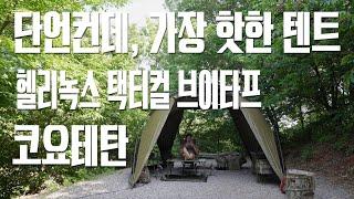 최근 가장 핫한 텐트ㅣ브이타프에 대한 모든 것ㅣ한편으로 끝내는ㅣ브이타프 완벽 리뷰ㅣ설치부터 꿀팁까지ㅣ헬리녹스 택티컬 브이타프 4.0 코요테탄ㅣ브이타프의 정석ㅣ여울지 숲속 캠핑장