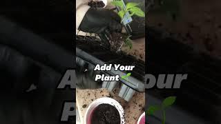 DIY Seedling Pot Hack - Use these for plant starts