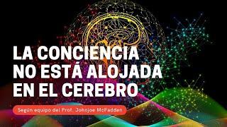La conciencia no está alojada en el cerebro - Revelan estudios recientes