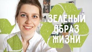 Экология, полезные привычки, zero waste, минимализм