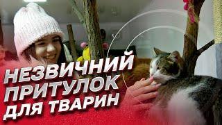  Под Киевом появилось необычное убежище для животных. К чему там кварталовцы